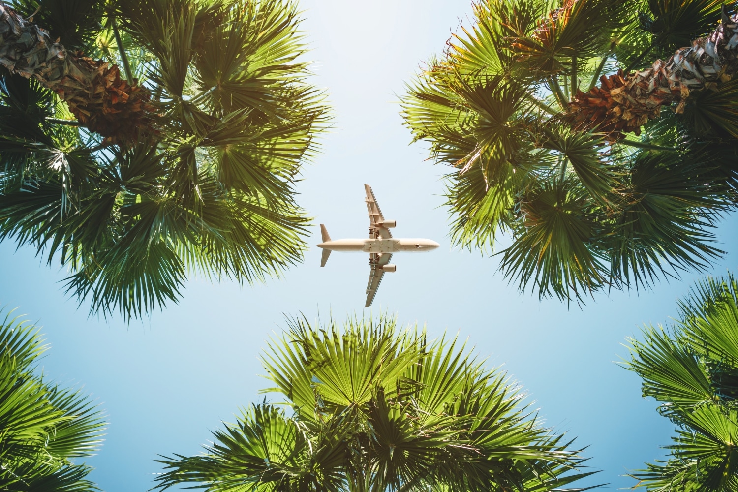 Unforgettable family, group and solo travelling experiences for you to explore our planet in style.